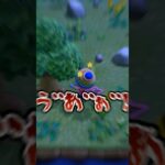 【あつ森】タランチュラ島で大稼ぎのはずが… #shorts #あつ森 #あつまれどうぶつの森  #ゲーム実況