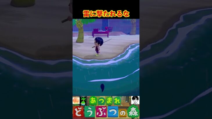 雷に撃たれるな #あつまれどうぶつの森 #shorts #あつ森