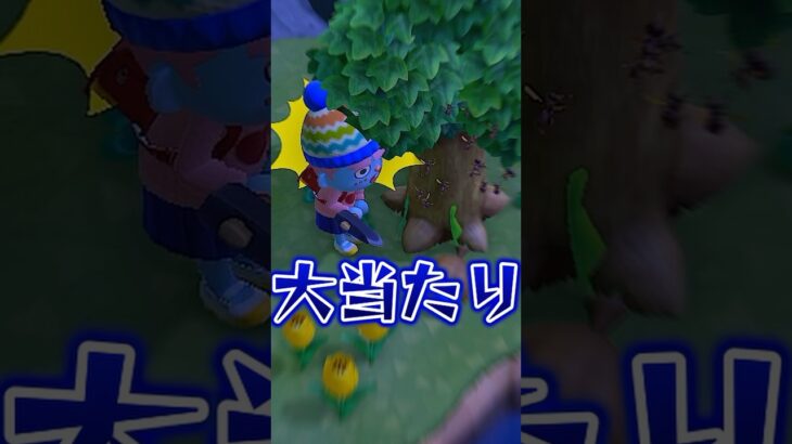 【あつ森】泣きっ面に○○とはこの事よ #shorts #あつ森 #あつまれどうぶつの森  #ゲーム実況
