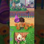 【あつ森】よしのちゃんとアンチョビくんの会話を邪魔してみた★ #shorts #あつ森