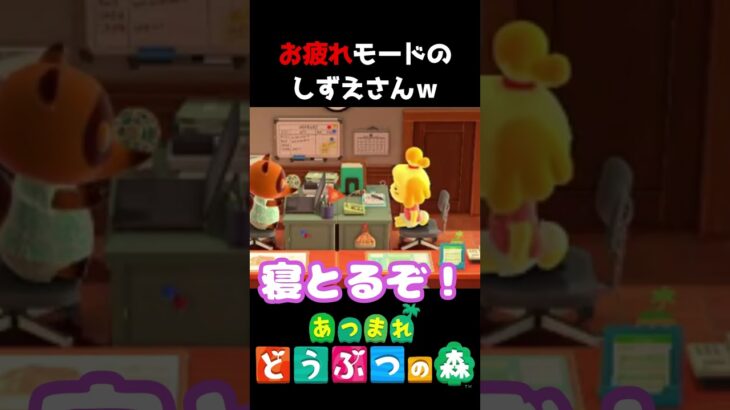 【 #あつ森 】お疲れモードのしずえさんｗ #shorts #あつまれどうぶつの森  #切り抜き #ゲーム実況 #ゲーム #けいとかんな劇場