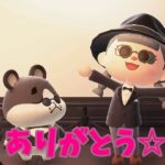 【あつ森】映画スターになりたいのね?！?！ #shorts #あつ森 #あつまれどうぶつの森 #ゲーム実況