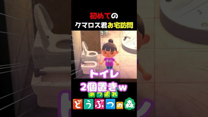 【 #あつ森 】初めてのクマロス君お宅訪問 #shorts #あつまれどうぶつの森  #切り抜き #ゲーム実況 #ゲーム #けいとかんな劇場