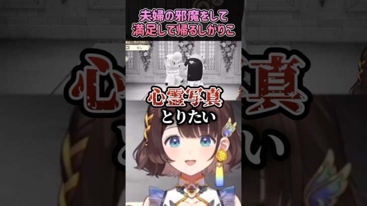 【あつ森】ひたすら夫婦の邪魔をして帰るしがりこ【司賀りこ/にじさんじ切り抜き】#shorts #司賀りこ #にじさんじ
