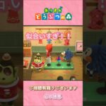 【あつ森】毎日見てて飽きない住人たもつ#shorts
