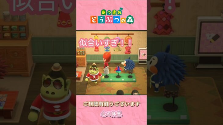 【あつ森】毎日見てて飽きない住人たもつ#shorts