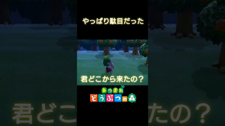 【あつ森】やっぱり駄目だった　#shorts