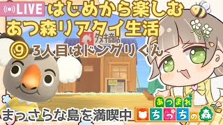【あつ森】縦型配信  #shorts  あつ森はじめから楽しむ あつ森リアタイ/あつ森3～5人目お迎え【あつまれどうぶつの森 / 縦型】 #あつ森vtuber   #あつ森島評価☆3【みつき ちっち】