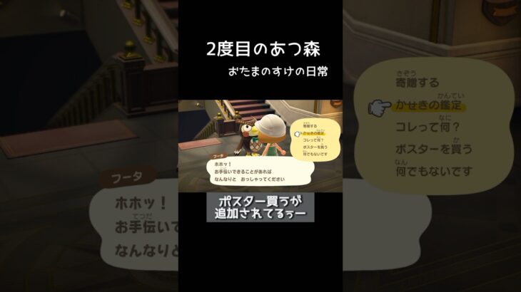 【あつ森】初めてのかせきコンプ　#あつまれどうぶつの森 #メインキャラ #shorts