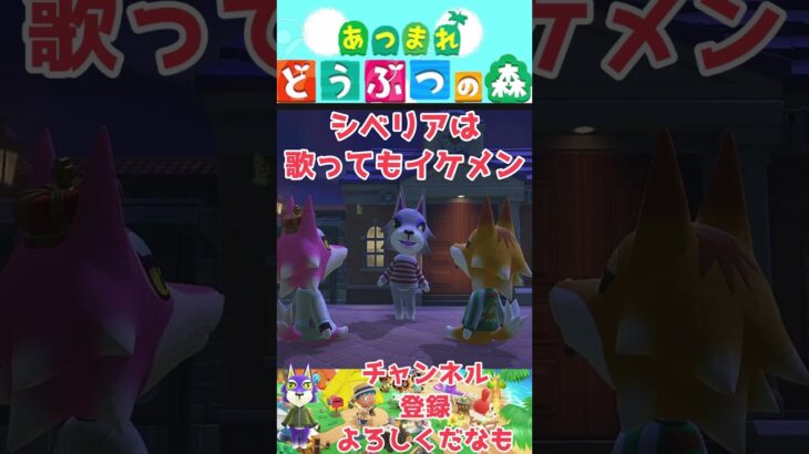 あつ森　シベリアはイケメンだな　＃あつ森　＃あつまれどうぶつの森　#ゲーム実況  #shorts