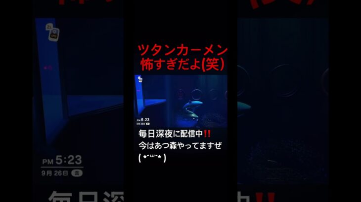 暗闇で見るツタンカーメン怖すぎだよ笑#あつ森 #あつまれどうぶつの森 #shorts