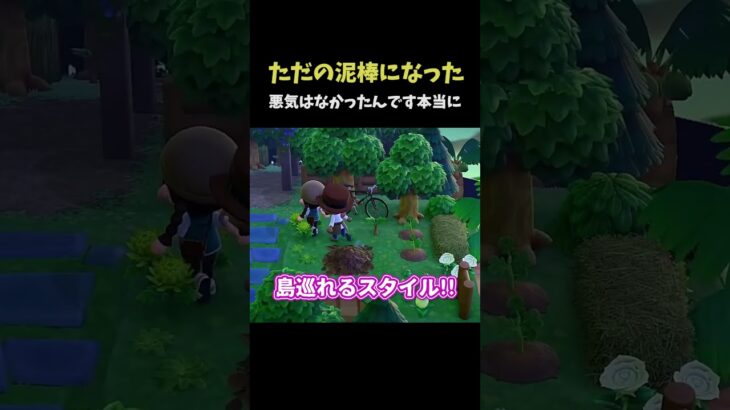 【あつ森】本当に申し訳ありませんでした #shorts