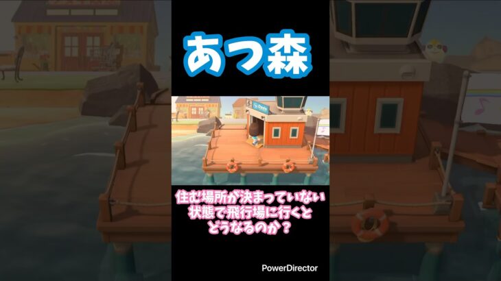 【あつ森】住む場所が決まっていない状態で飛行場に行くとどうなるのか？#あつ森 #shorts