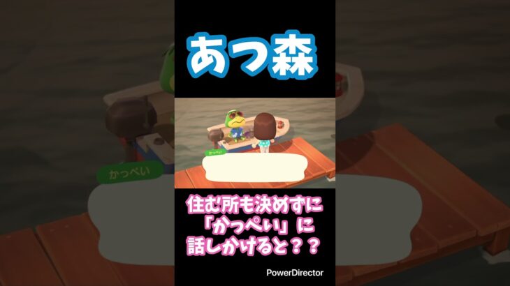 【あつ森】住む場所も決めずに「かっぺい」に話しかけると？？ #あつ森 #shorts