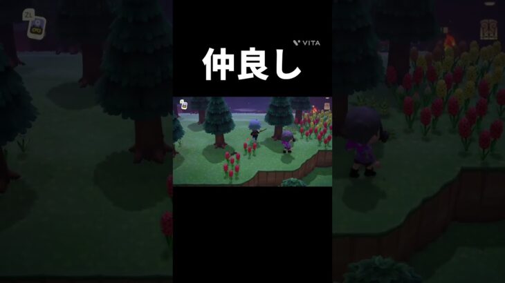 仲良し #バズれ #あつ森 #友達 #仲良し #ゲーム #shorts
