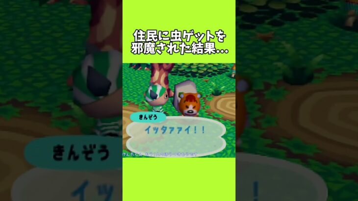 住民に虫ゲットをじゃまされ、仕返しした男【どうぶつの森】#shorts #あつ森 #ゲーム実況  #あつまれどうぶつの森 #animalcrossing #acnh