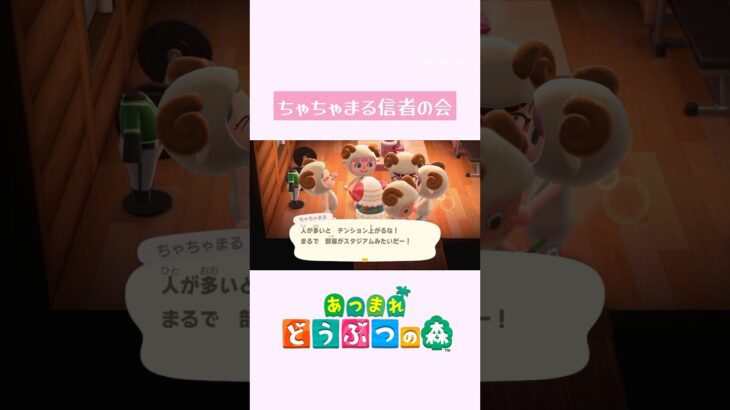 【あつ森】ちゃちゃまるのお家にみんなでおしかけてみました。#shorts #あつ森 #あつまれどうぶつの森 #animalcrossing  #switch