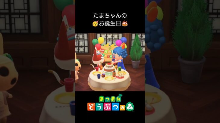 【あつ森】たまちゃんのお誕生日🎂🥳✨#shorts #shortvideo