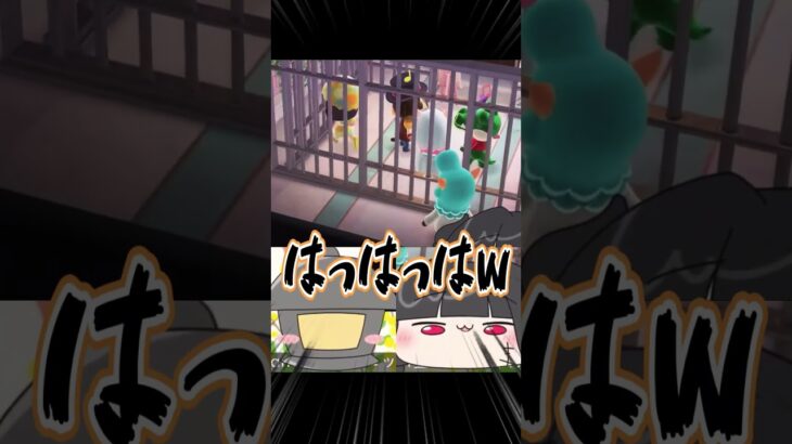 【あつ森】新郎新婦をお祝い！結婚記念の最悪ウェディングフォト #shorts #ゲーム実況 #あつ森 #夫婦vtuber
