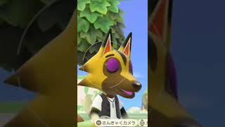 【#あつ森】居眠り中〜リカルドの場合〜【#switch 】