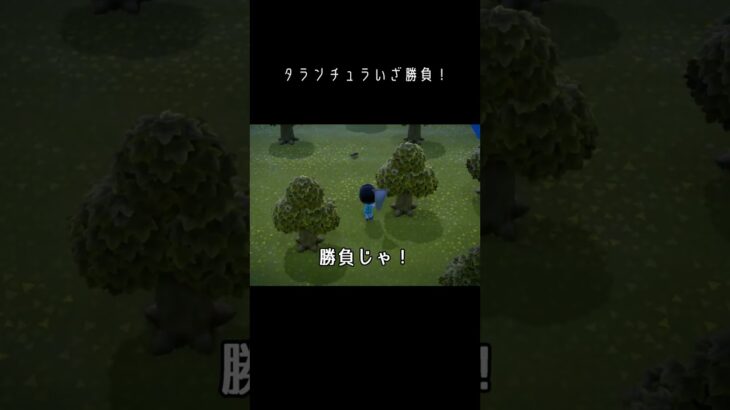 壊滅的なセンス #あつ森 #switch #あつまれどうぶつの森 #ゲーム配信 #ゲーム実況 #ゲーム #生配信 #実況