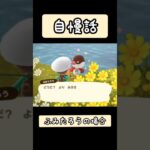 【#あつ森 】自慢話〜ふみたろうの場合〜【#switch 】