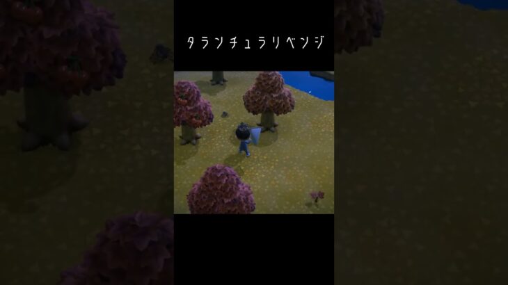 は？ #switch #あつ森 #あつまれどうぶつの森 #ゲーム実況 #ゲーム #実況 #生配信