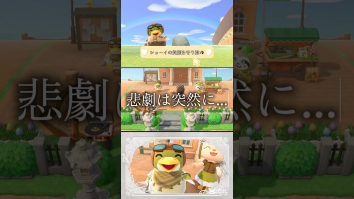 【(((圧)))】 #switch #nintendo #ゲーム実況 #あつ森