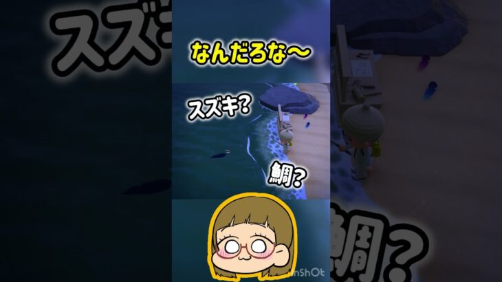 【あつ森】朝方のお魚釣り🎣何が釣れるだろ？😎#あつ森 #あつまれどうぶつの森 #あつもり実況 #switch #short #shorts #shortvideo #ともちんのゲーム部屋