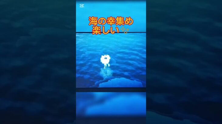 【あつ森】海の幸図鑑うめた！　#あつ森 #あつ森switch #あつまれどうぶつの森 #どう森 #ぶつ森 #shortvideo #shorts #short #gaming #games