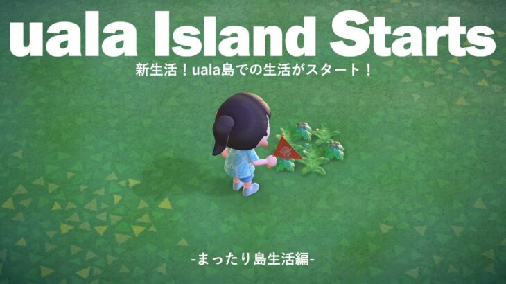【あつ森】がんばるぞ！uala島での新生活！🏝まったり島生活編 #３