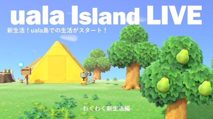 【あつ森】マイホームを建てたい！uala島での新生活！🏝まったり島生活編 #４
