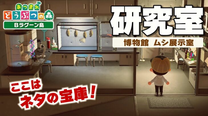 【あつ森】研究室
