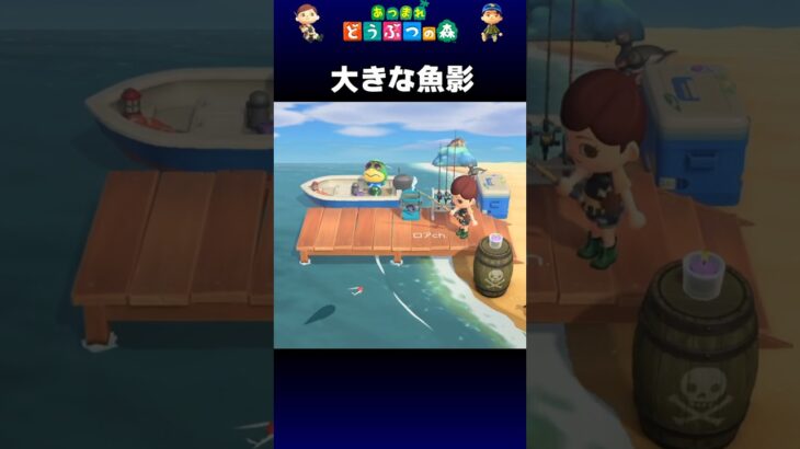【あつ森】大きな魚影