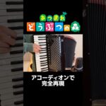 【職人技】あつ森メインテーマをアコーディオンで完全再現
