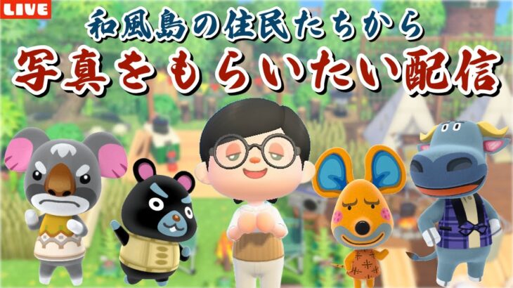 【あつ森】写真が欲しい！和風島の住民と仲良くなる配信！【あつまれ どうぶつの森】