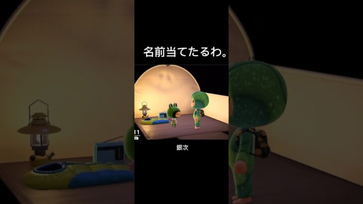 名前当てたるわ【あつ森】