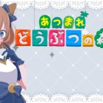 あつ森２日目