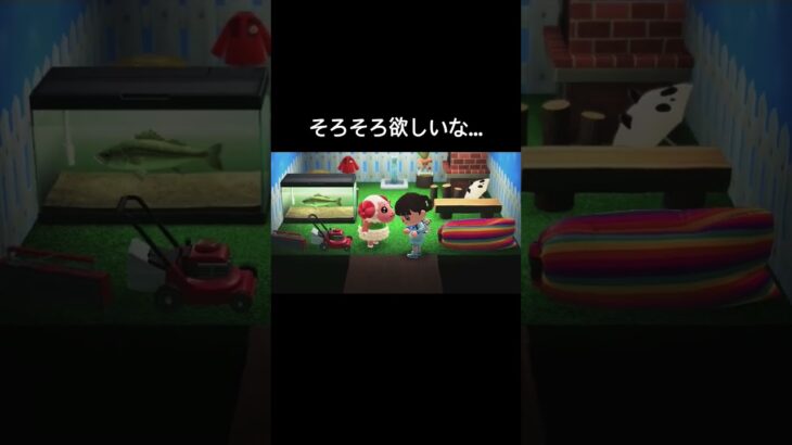 部屋ごちゃごちゃしてきたよ？[あつ森]
