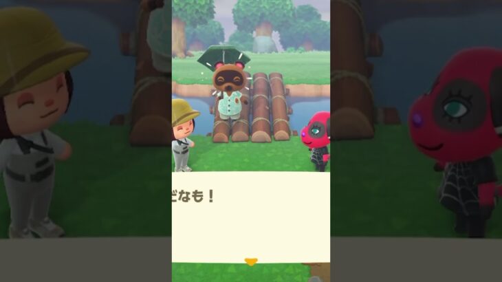 橋できたー！#あつ森