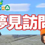 【あつ森】夢見訪問で元カノに会う【あつまれどうぶつの森】