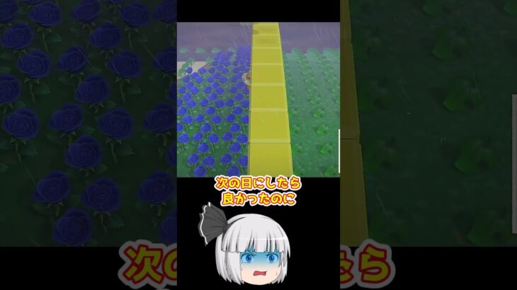 【あつ森】≪１日で１億≫記念すべき日の天候は　　　　　　　　　 #あつ森 #どう森 #ゆっくり実況