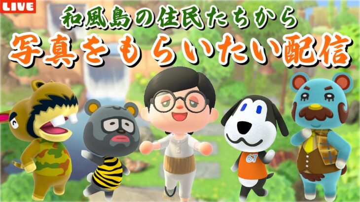 【あつ森】今日こそ写真が欲しい！和風島の住民と仲良くなる配信！【あつまれ どうぶつの森】