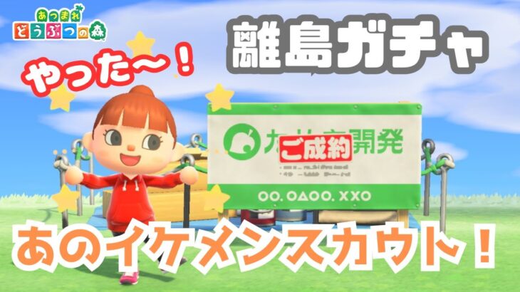 【あつ森】イケメン狙いの離島ガチャであのキャラに出会った！目指せイケメン島