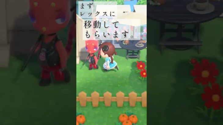 レックスを祝いたい。【あつ森】
