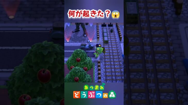 速すぎて何が起きたのかわからない😱【あつ森】