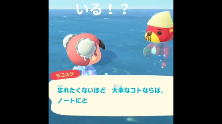 【あつ森】ホタテをとるとどうなるのか？【無言】※音バグ注意＃ラコスケ＃ホタテ