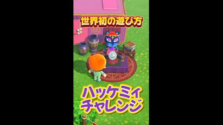 あつ森の変な遊び大好き