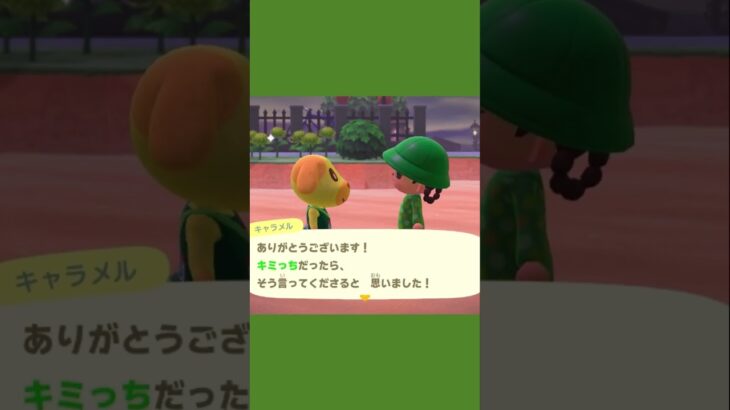 【あつ森】うちの島のキャラメルさんよく懸賞当たるタイプ🤣 #あつ森 #あつ森日記 #あつまれどうぶつの森