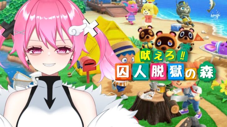 【あつ森】 ハッピーホームパラダイス初めて見た！ 初見プレイ頑張る！！